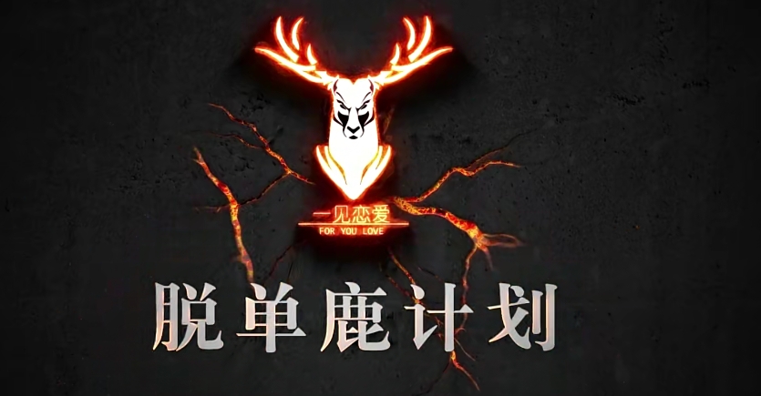 05092958597 泰阳弟子班2.0《脱单鹿计划》