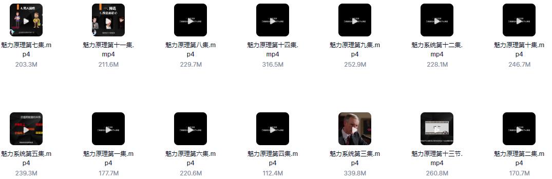 06004849138 Chris柯李思《2020魅力原理(已更新完)》百度云下载