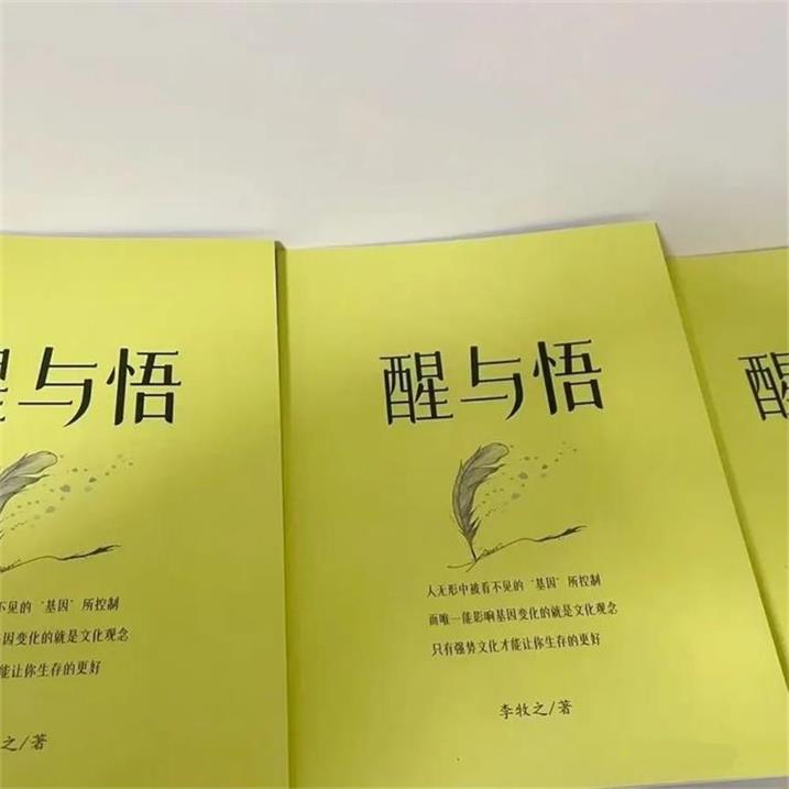 《醒与悟》pdf高清版/无水印