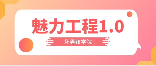 小鹿情感：坏男孩《魅力工程1.0》完整版
