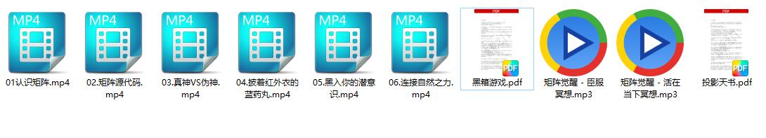真爱之门《矩阵觉醒》百度网盘下载