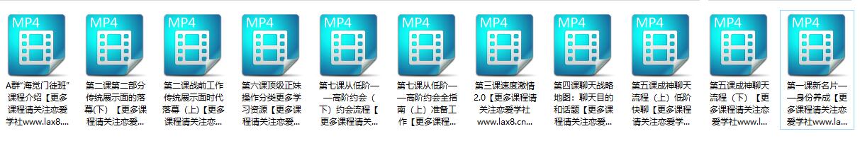 男生恋爱教程-海觉门徒班百度网盘下载