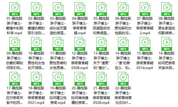 琳子博士《脑科学亲密关系训练营》22节完结