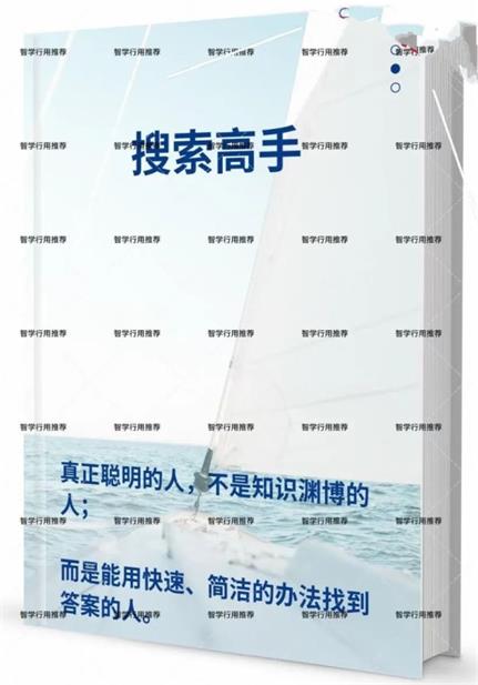 《搜索高手》pdf电子版/无水印
