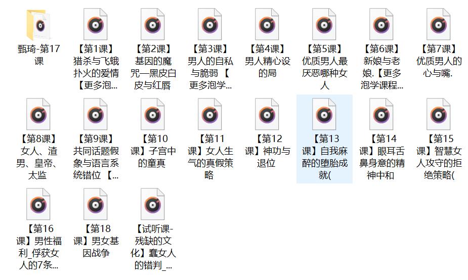 甄琦学长《成功男人的情感刚需》网盘下载