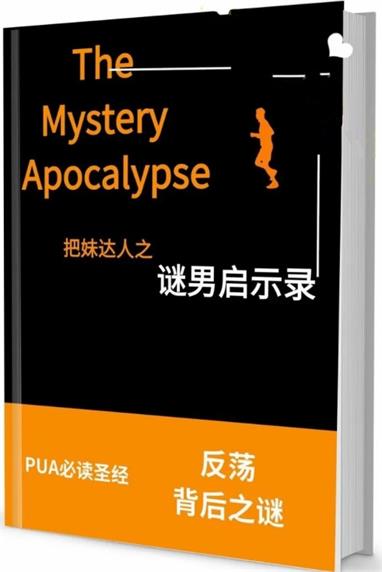 《谜男启示录》pdf电子版/无水印