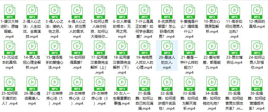 13081603833 撩汉宝典《撩汉大神进阶之路》网盘下载