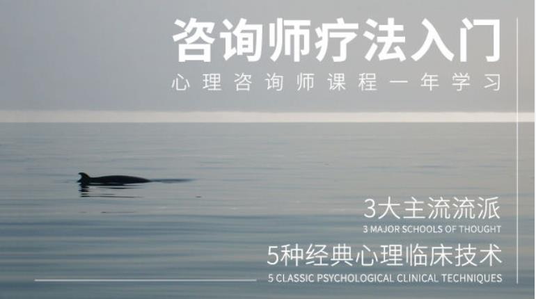 心理咨询技术与疗法入门（完结）