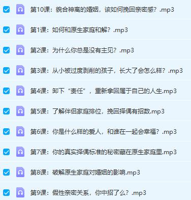 15070051600 花镇魏梦琦-快速摆脱原生家庭操控,重建高质量亲密关系(10节)