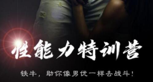 铁牛《7天性能力训练营》百度网盘下载