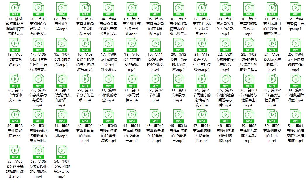 傅嘉祺 系统掌握婚姻情感咨询6大模块52集视频教程