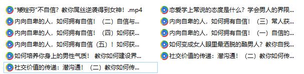魅力男神系列《完美自信：做魅力男人》百度网盘下载