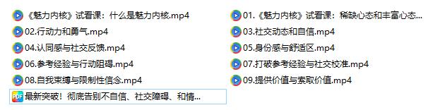 魅力男神系列《魅力内核》百度网盘下载