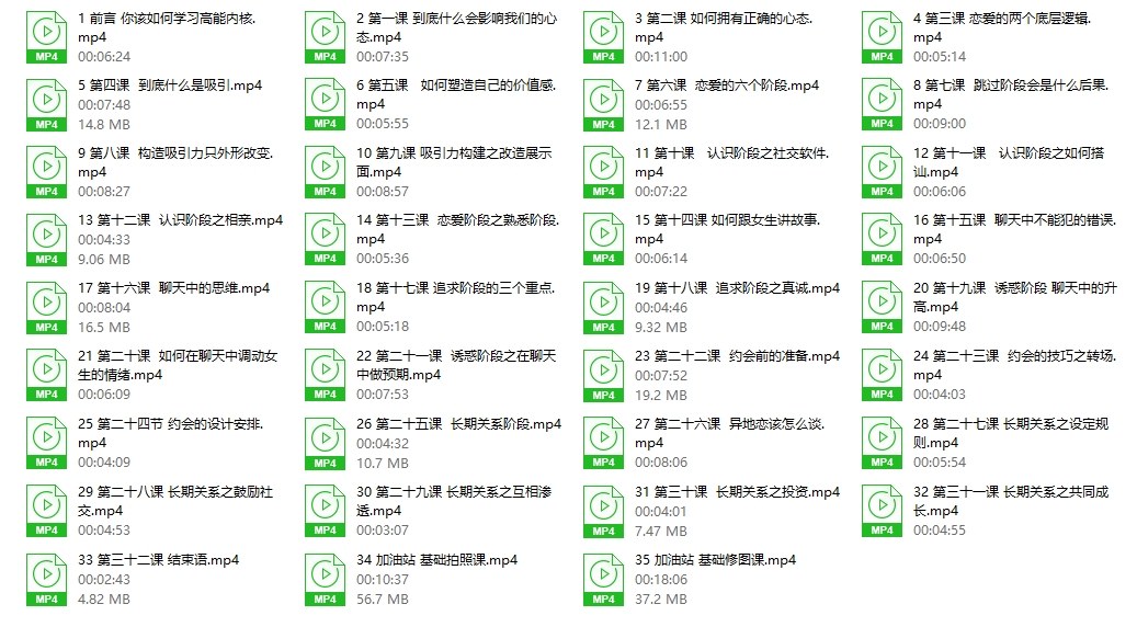 20005635687 墨菲讲堂《高能内核》