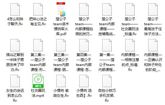 梵公子《内部课》