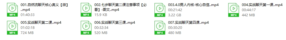 21053741599 凯南高情商聊天4.0