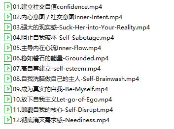 瑞恩Ryan《引燃雄心》标准版