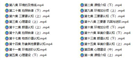 浪迹情感《展示面升华之道》百度网盘下载