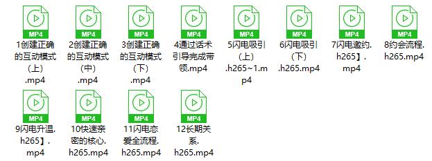 25023712313 灵魂创造者《闪电恋爱术》