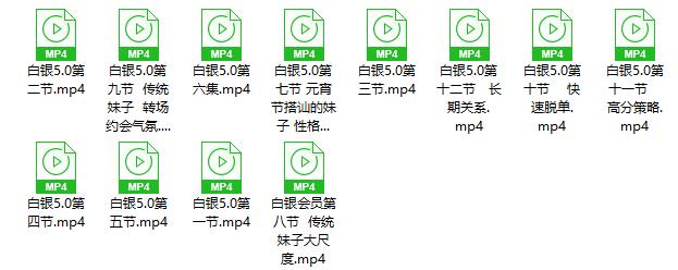 快速爱斗爷《白银会员5.0》