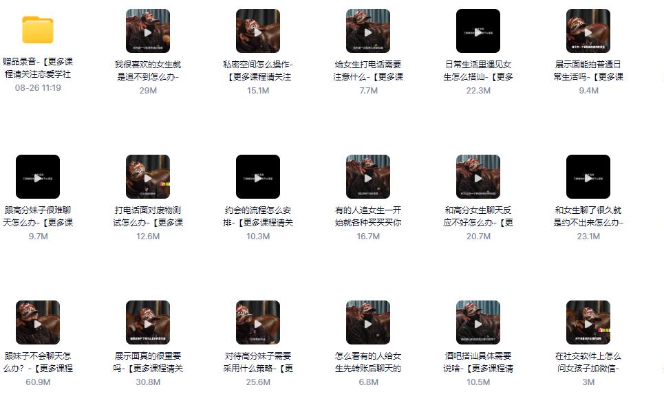 绅士派《熊猫内部课》百度网盘下载