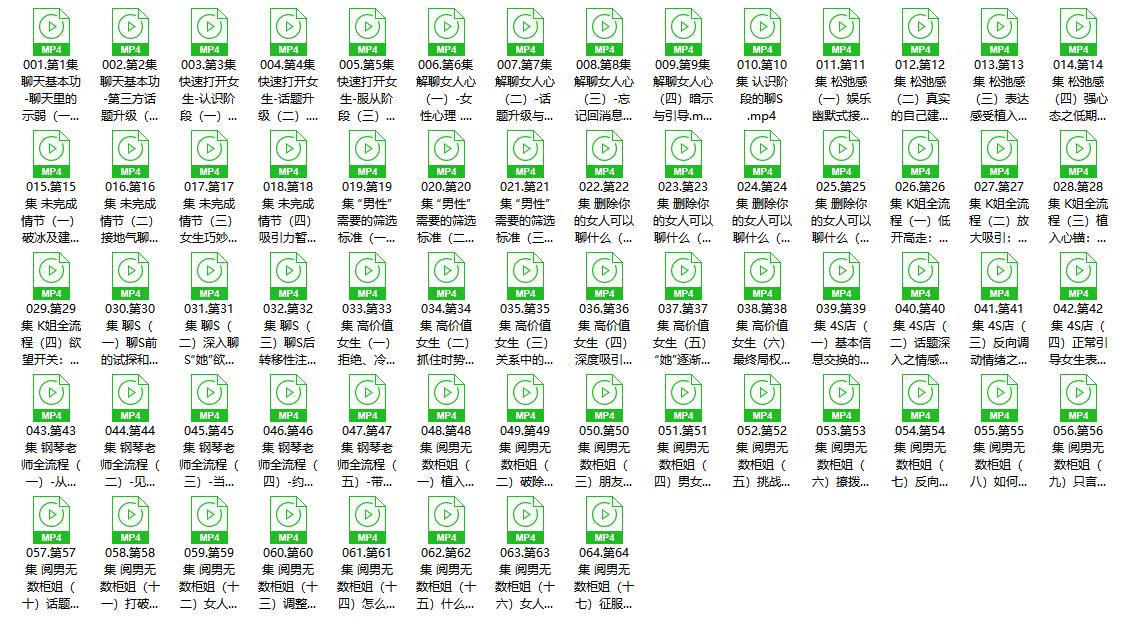 27124440353 2023良叔《聊天之道》大师版