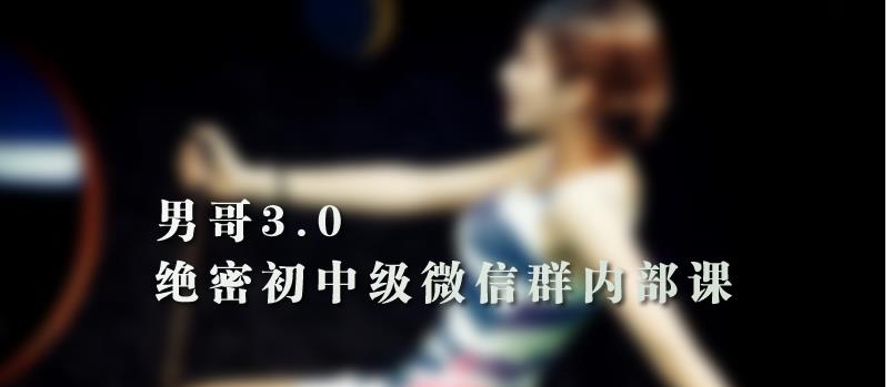 （3.9GB）《男哥3.0初中级班微信群内部课》完整版下载