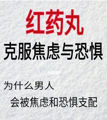 红药丸《克服焦虑与恐惧》百度云下载