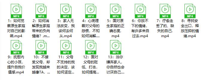 赛维《赛维原生家庭系列》13集视频