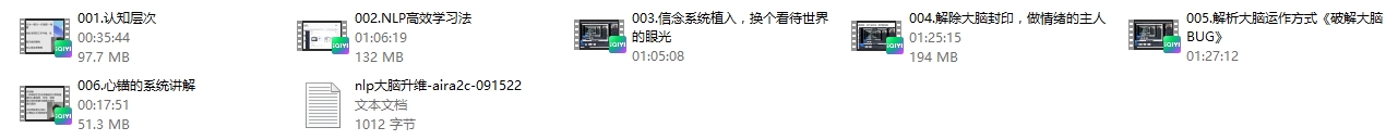 魅男《NLP大脑升维》