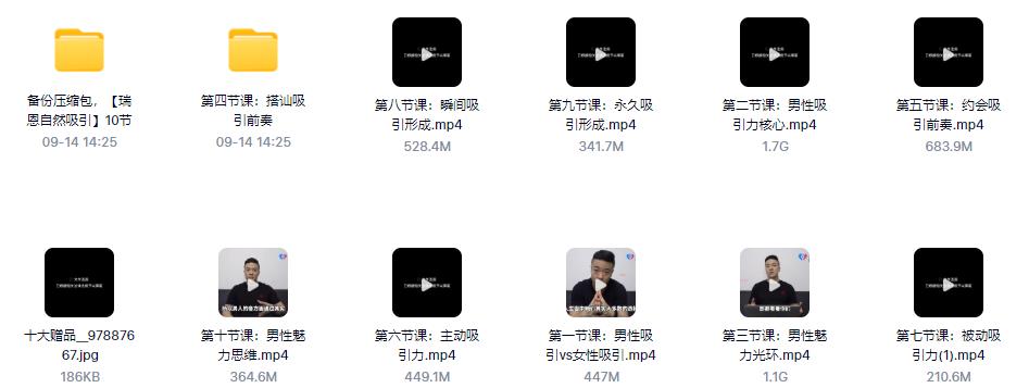 瑞恩10节高级情感课《自然吸引》百度云下载