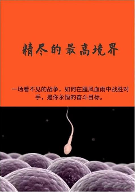 《精尽的最高境界》pdf电子版/无水印