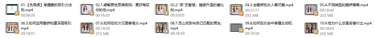 06013717999 米娅爱的吸引力(10集)