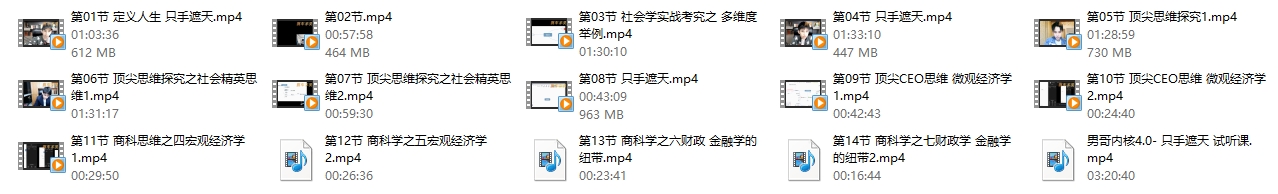 男哥内核《只手遮天4.0》完整版
