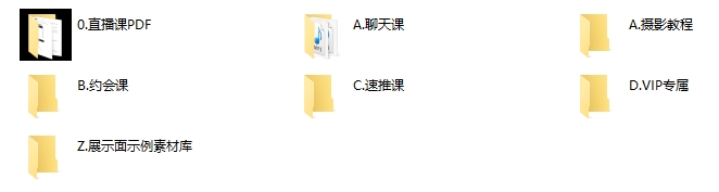 91大神全套VIP课程