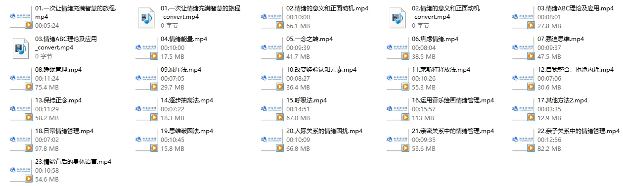 古老师《情绪管理》是你控制情绪还是情绪控制你