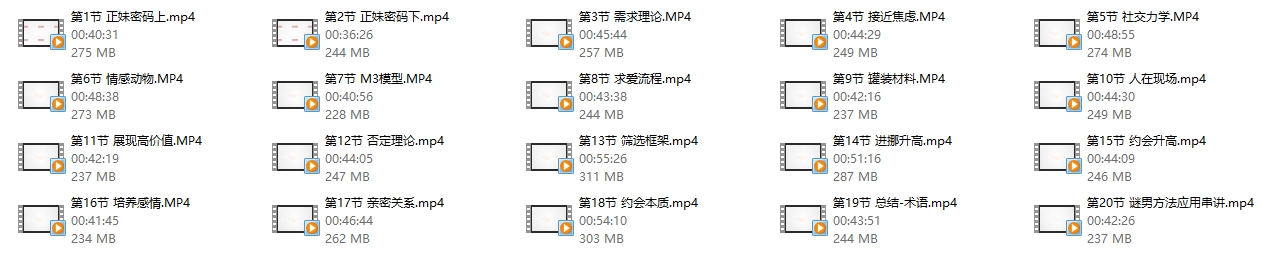 坏男孩龙语《迷男方法》恋爱把妹入门必学