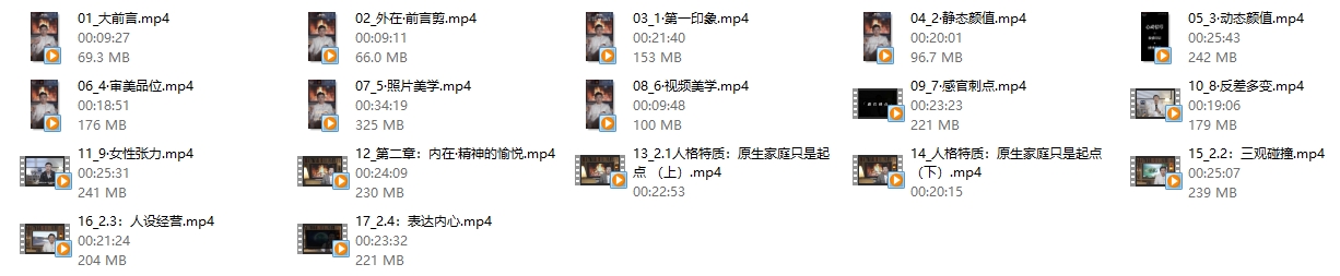 梁子辰先生《正向吸引力高阶成长课》