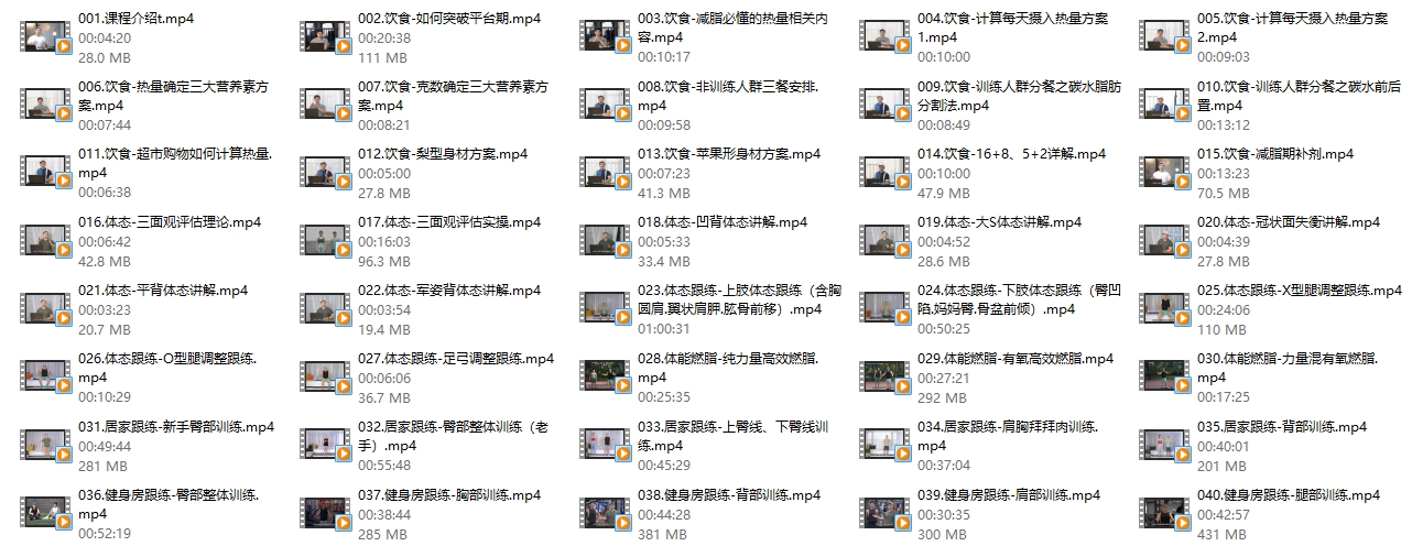 磊哥减脂塑形课程2.0