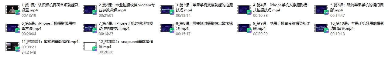 杨老师讲摄影《零基础玩转你的iPhone手机摄影功能》12节视频课