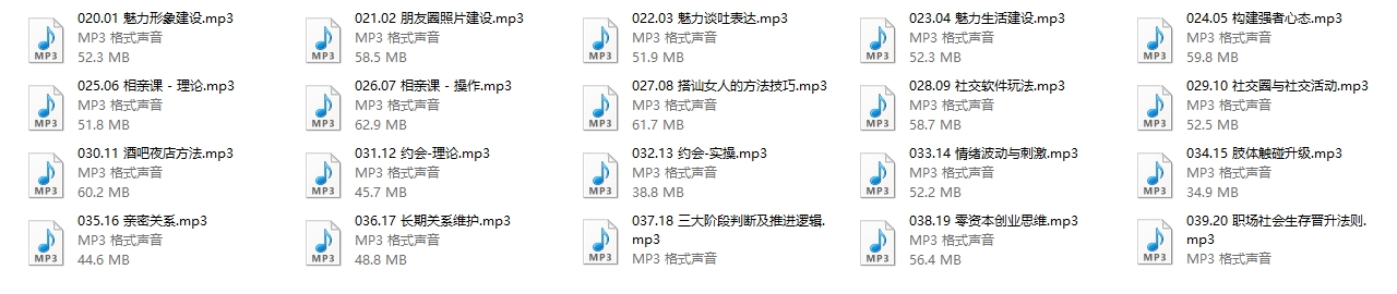 丹青门徒课-魅力工程20节音频
