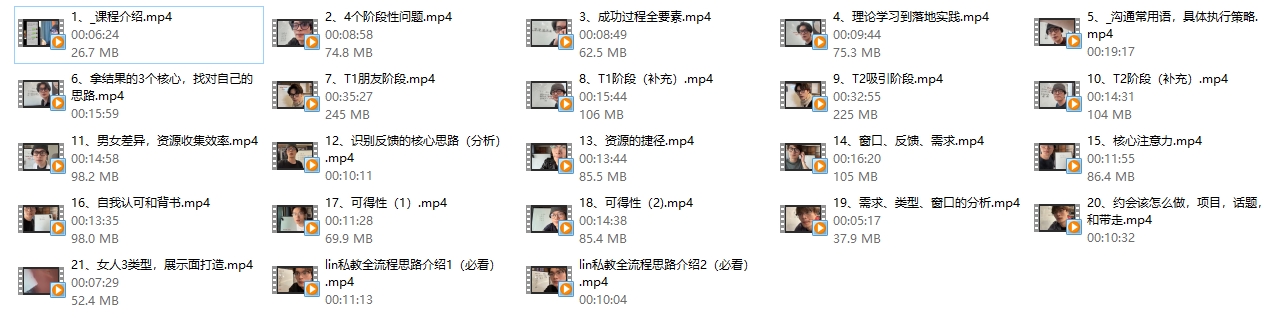 林老头《lin一对一咨询课（1年成长之旅）》