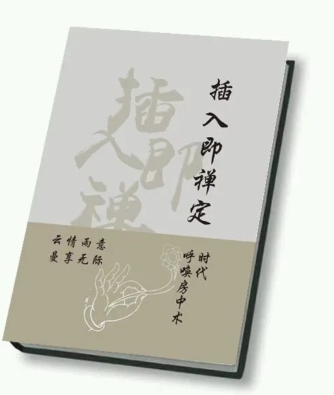 《插入即禅定》PDF电子版/无水印