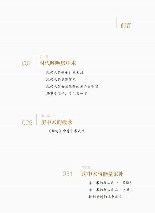 《插入即禅定》PDF电子版/无水印