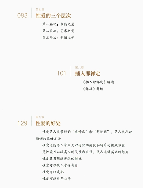 《插入即禅定》PDF电子版/无水印