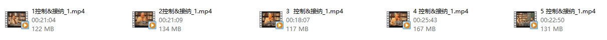 斯蒂文 海斯 ACT 控制&#038;接纳 视频5集（中文字幕）