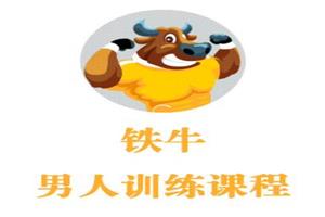 铁牛会员课程