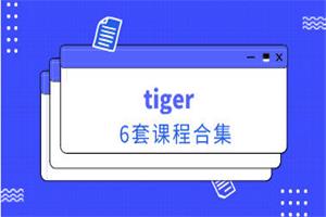 tiger《6套课程合集》