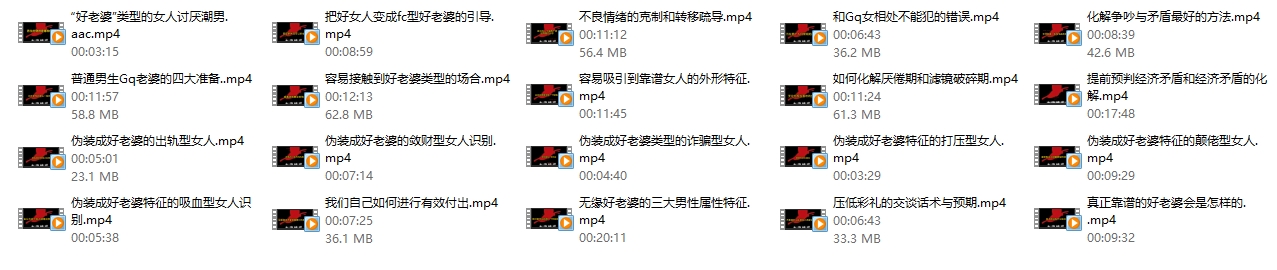 本渡情感《好老婆全案》20节