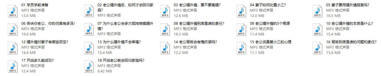 朱身勇《老公婚外情心理14堂课》